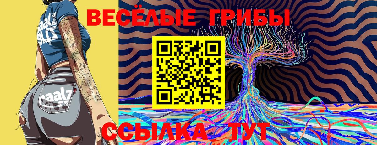 Галлюциногенные грибы мицелий Нарткала