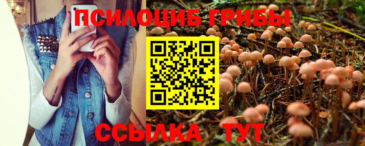 Галлюциногенные грибы мухоморы  Вход с VPN  Нарткала 